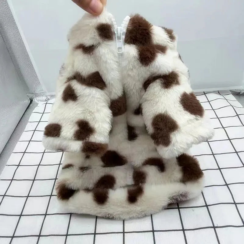 Pink polyester warm coat on small white dog showing British style design