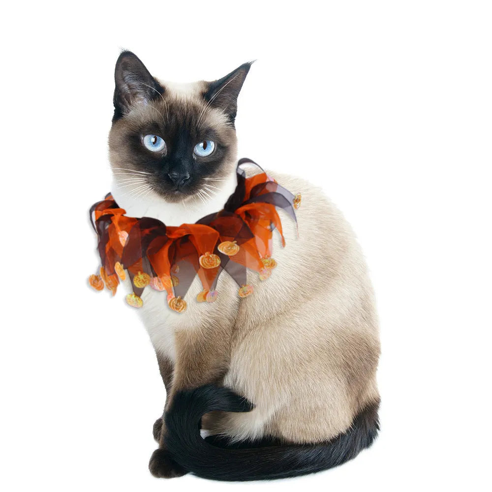 Tie-dye patterned pet collar in colourful design showing Christmas Halloween themes on cloth material
