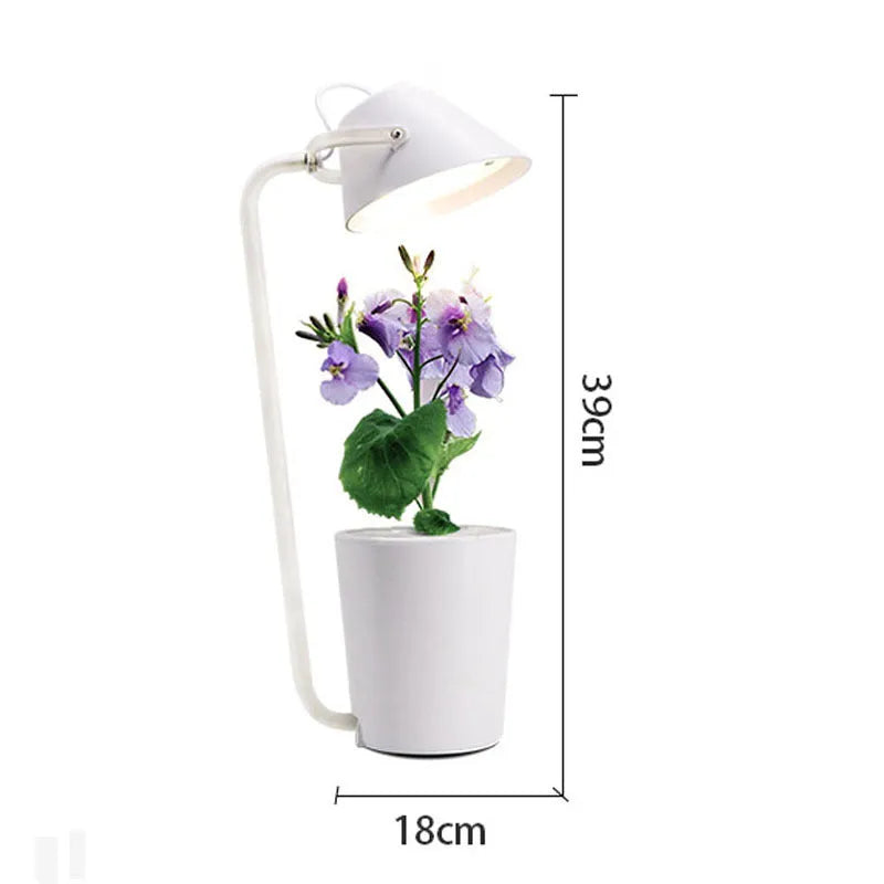 White plastic soilless cultivation plant growth machine hydroponic container on a desktop for office or home gardening