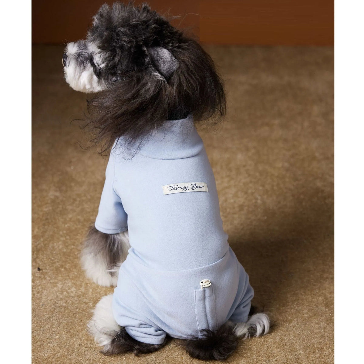 Four-leg polyester pet shirt for Schnauzer and Bichon in blue or pink, sizes XS to XXL