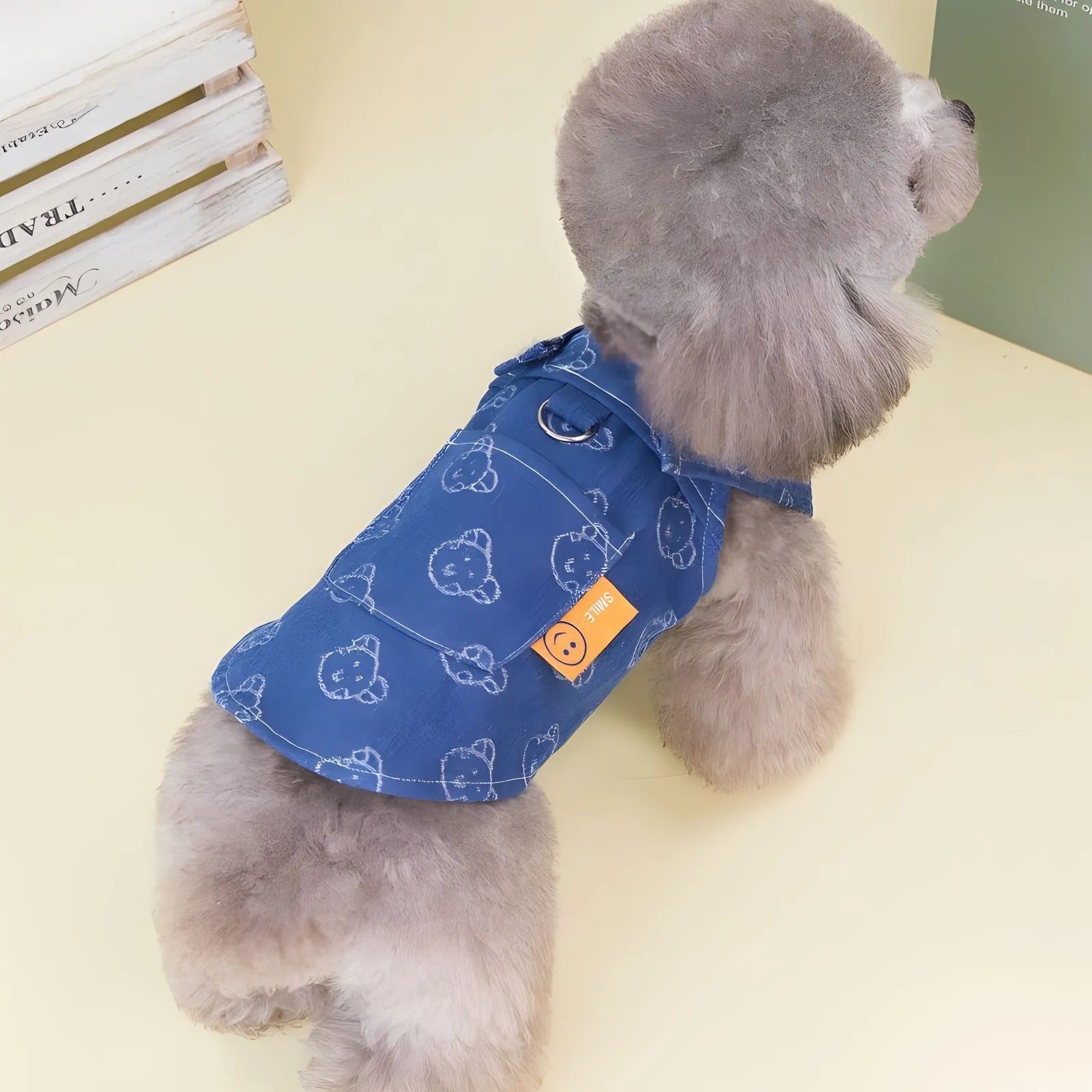 Teddy Bichon dog wearing a thin HNXD denim princess dress with a bracket skirt design.