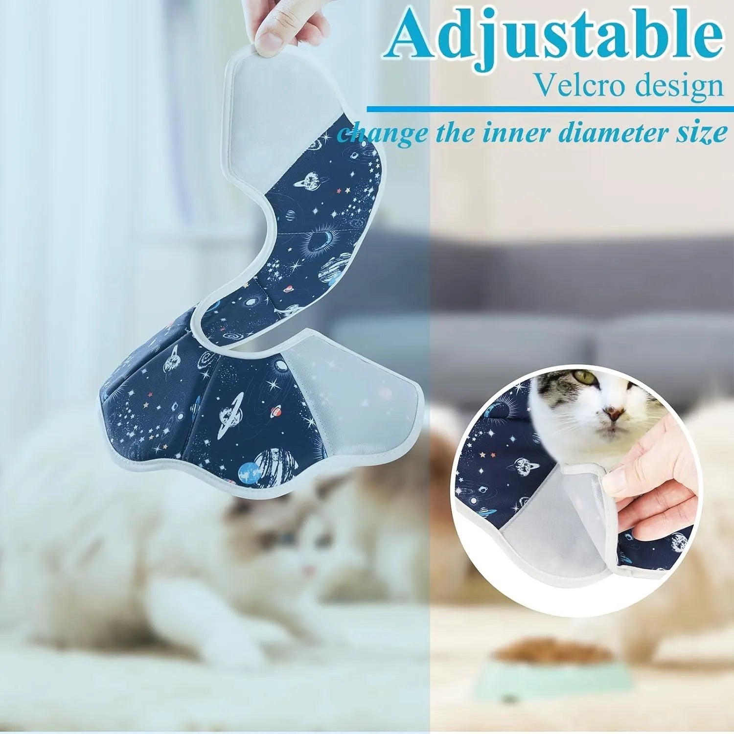 Soft adjustable cat recovery collar in use showing comfortable fit and normal eating position