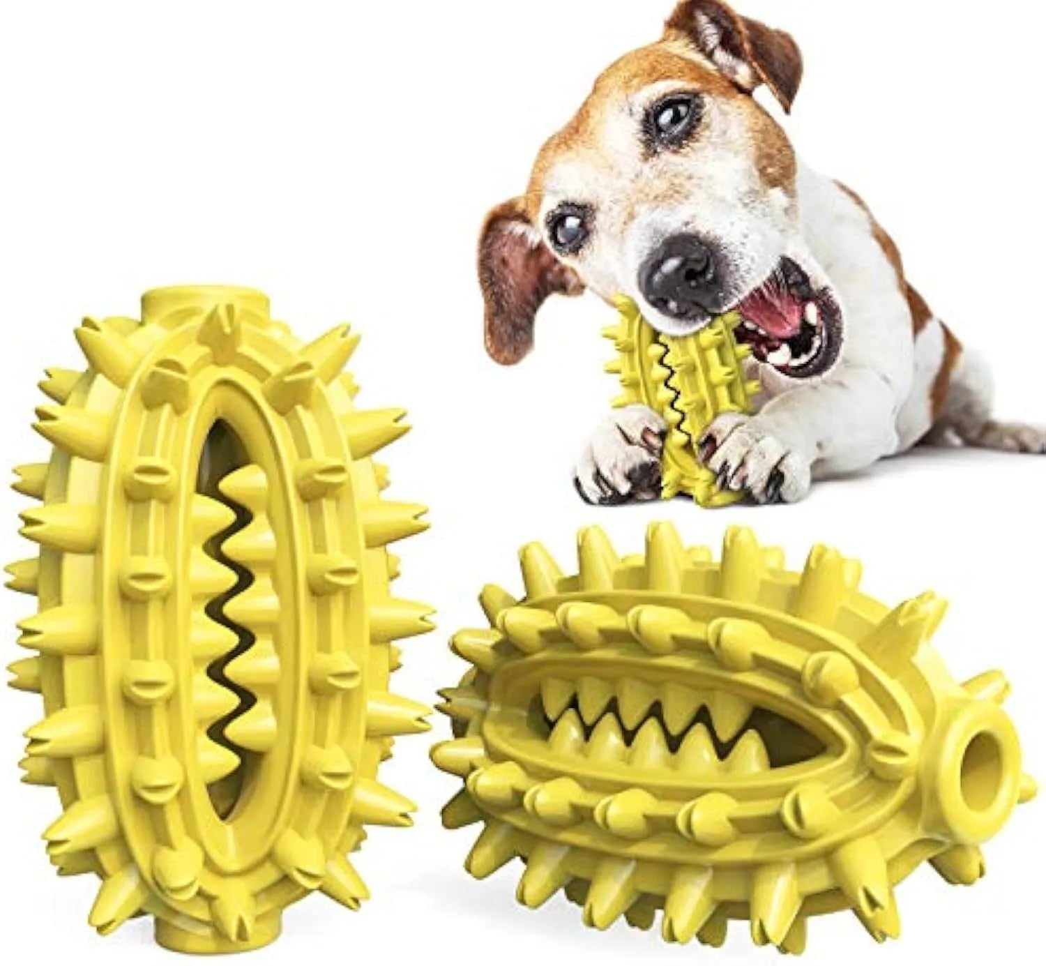 Green cactus-shaped dog chew toy with textured bumps for dental cleaning, showing central treat channel