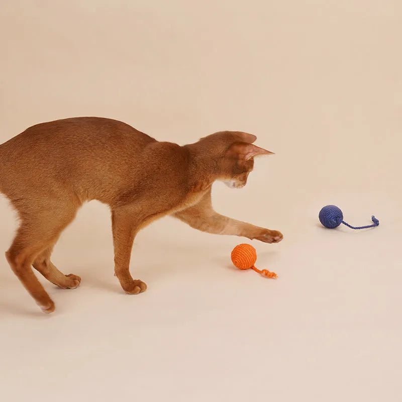 Cat toy set showing bite-resistant catnip ball and 255mm teaser stick in blue, green and multicolour options