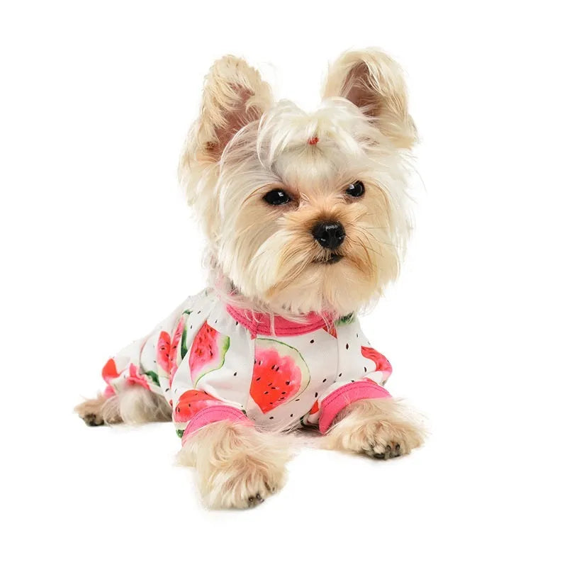 Watermelon red four-leg dog jumpsuit with watermelon print in polyester, shown as pet clothing