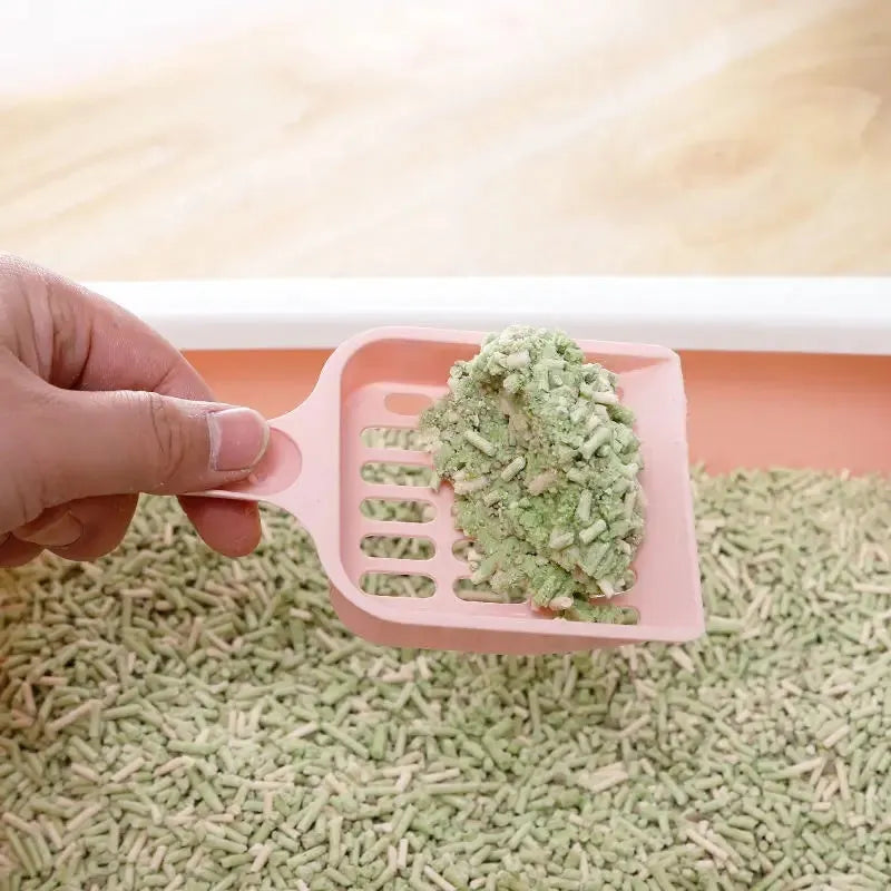 Blue plastic cat litter scoop showing its size on a white background.