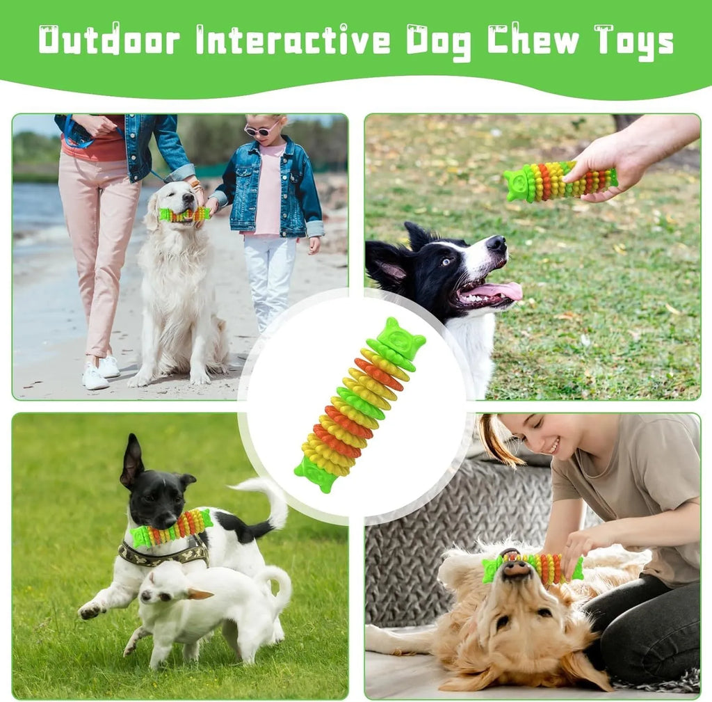 Blue caterpillar-shaped natural rubber dog chew toy measuring 17cm long