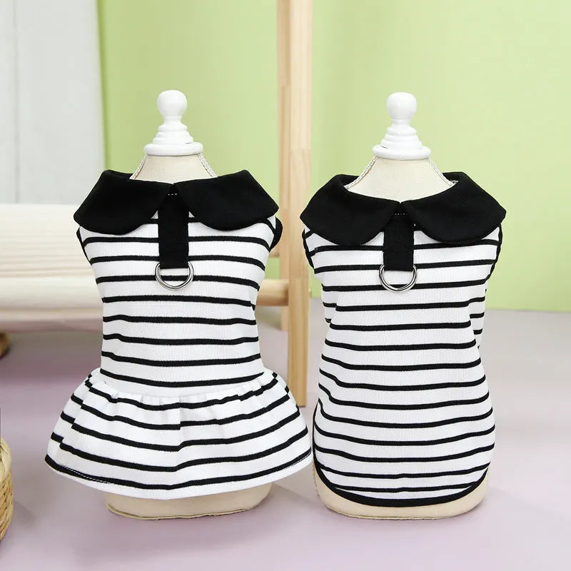 Pet dog wearing cotton summer stripe T-shirt and matching skirt clothing set