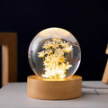 Clear resin ball night light with a dandelion inside on a beech wood base.