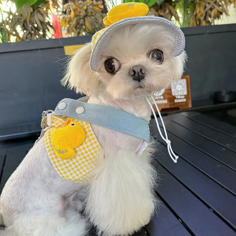 Three-piece pet harness set with colourful hat and wire rope leash for cats and small dogs