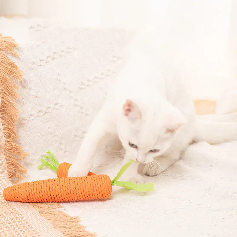 Assortment of cat toys including carrot-shaped bites, crinkly paper toys, ringing stones, sticks, and tooth grinding sticks.