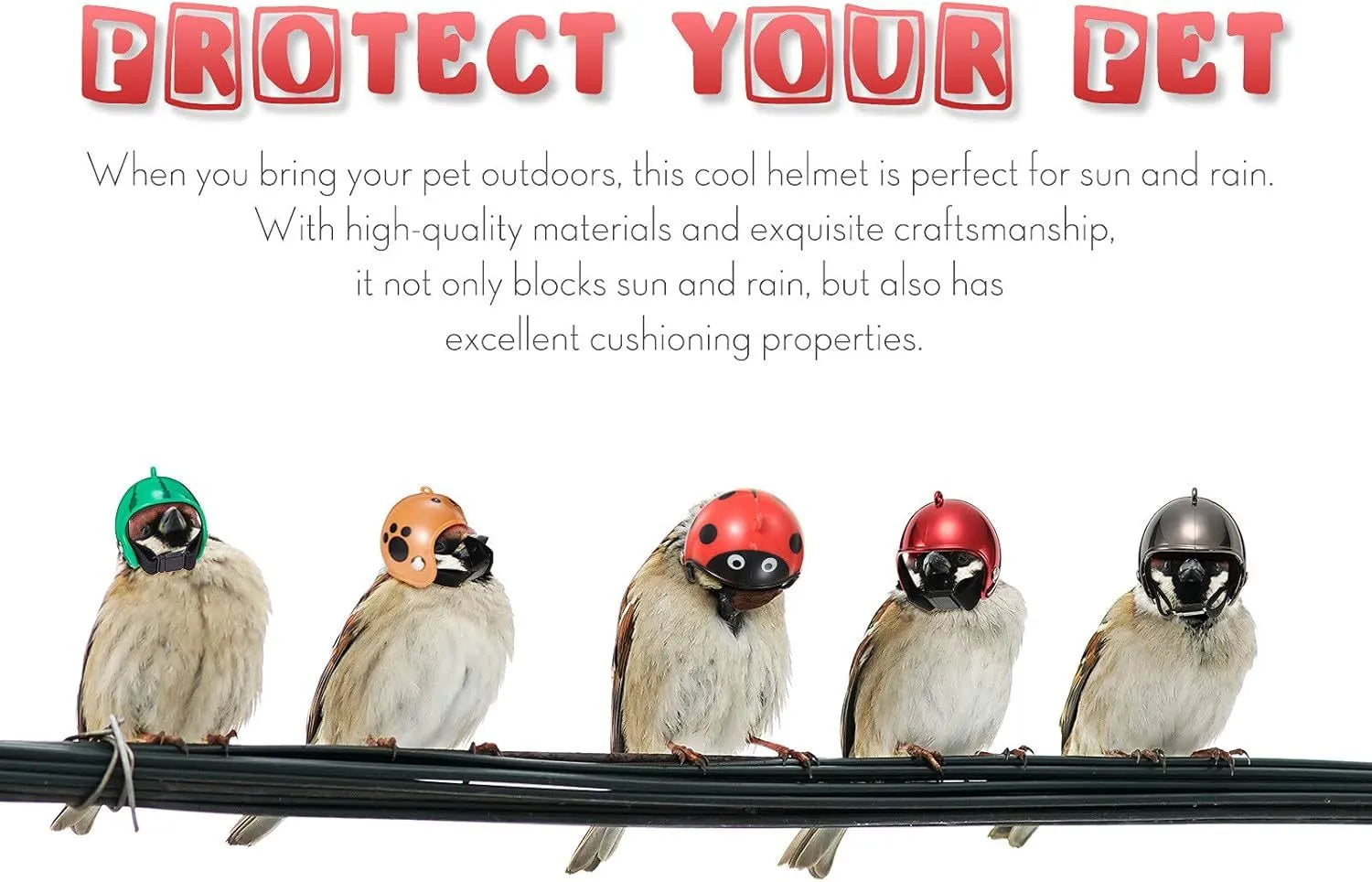 Small hard plastic pet safety helmet with sponge lining for a chicken or bird.