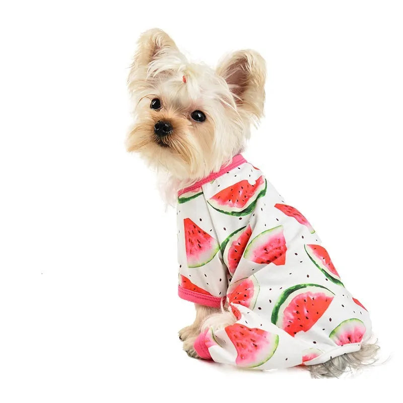 Watermelon red four-leg dog jumpsuit with watermelon print in polyester, shown as pet clothing