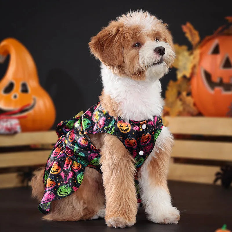 Angel wings Halloween pet costume for dogs in bright pumpkin or bat colours