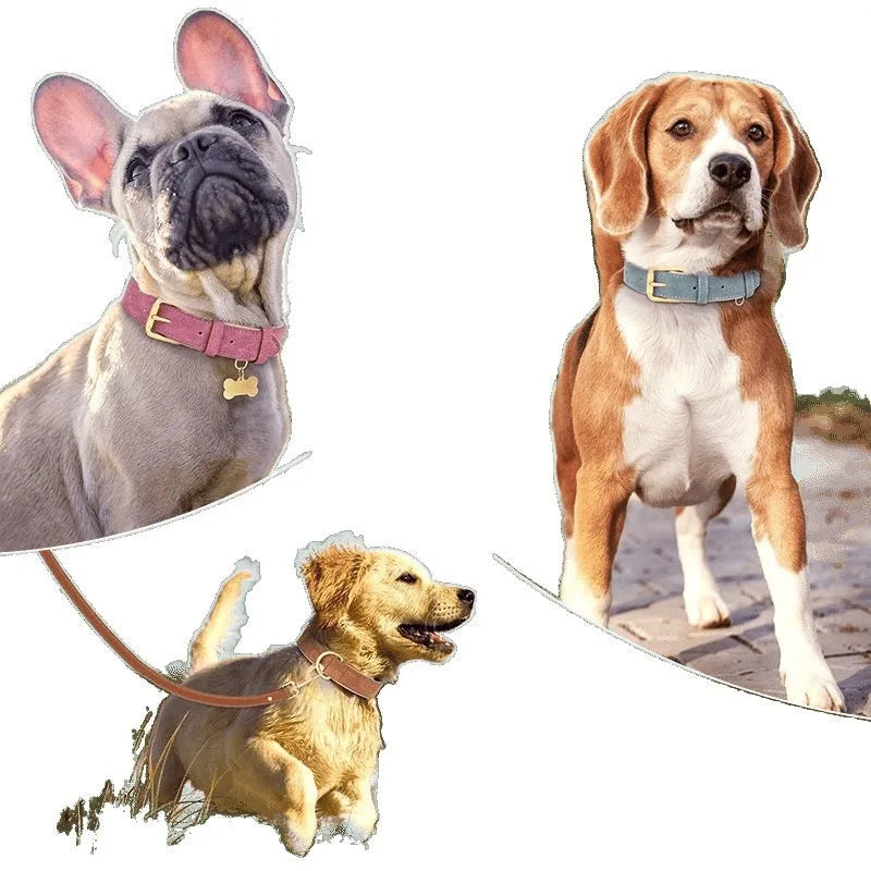 Double-layer leather and mohair dog collar with attached lead in rose red, brown, and blue colour options.