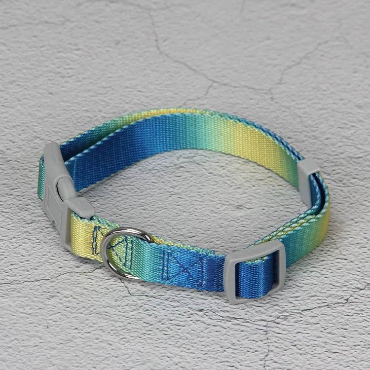 Nylon dog leash and collar set showing gradient colour pattern in pink and blue