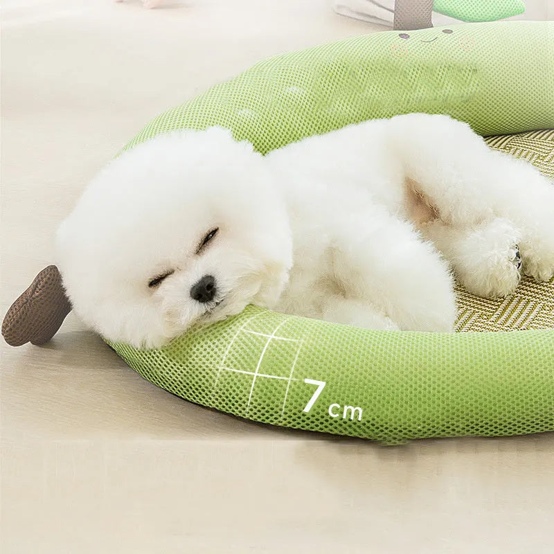 Green fruit pattern pet nest with raised sides and backrest for dogs or cats