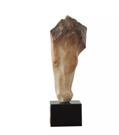 French retro style abstract horse head resin sculpture for desktop display, 50cm tall.
