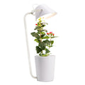White plastic soilless cultivation plant growth machine hydroponic container on a desktop for office or home gardening
