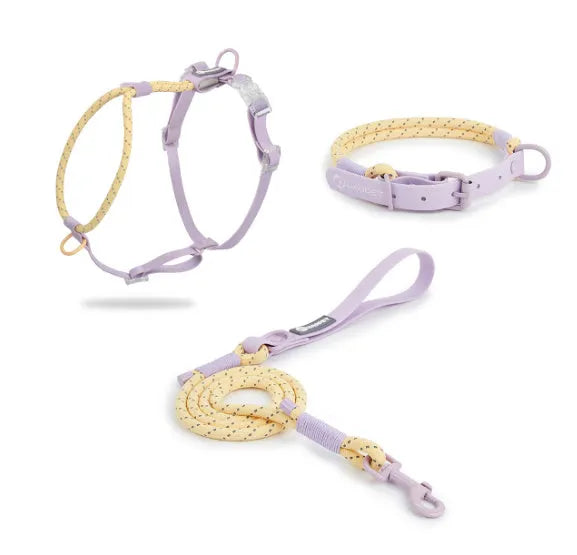 Solid colour PVC dog hand holding rope in dark red purple yellow and taoyao green options