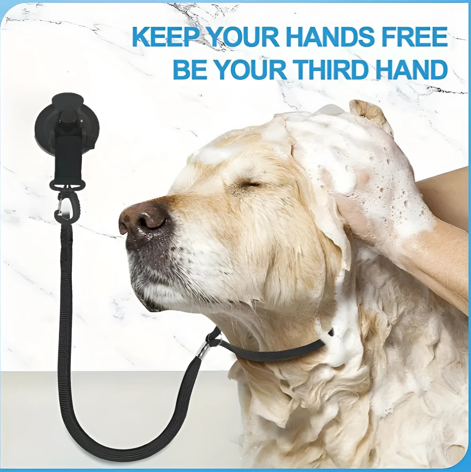 Pet bathing restraint set with suction cup handcuffs and traction ropes in black and blue colour options