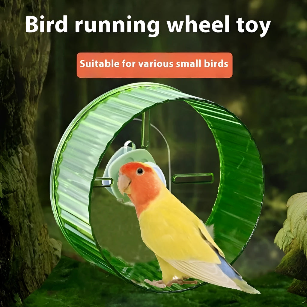 21cm plastic bird running wheel toy in multiple colours for parrot exercise