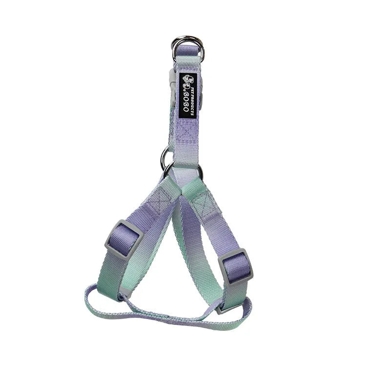 Nylon dog leash and collar set showing gradient colour pattern in pink and blue