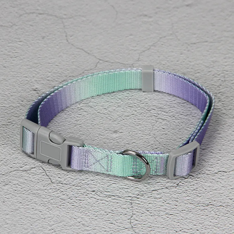 Nylon dog leash and collar set showing gradient colour pattern in pink and blue