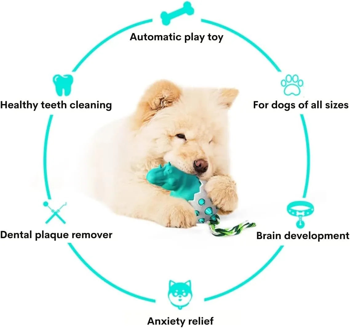 Blue durable rubber dog chew toy with rope and dinosaur design for aggressive chewers