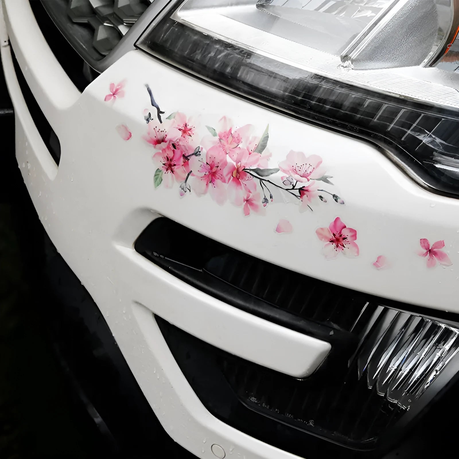 Pink cherry blossom car sticker on vehicle surface showing two size options for customisation