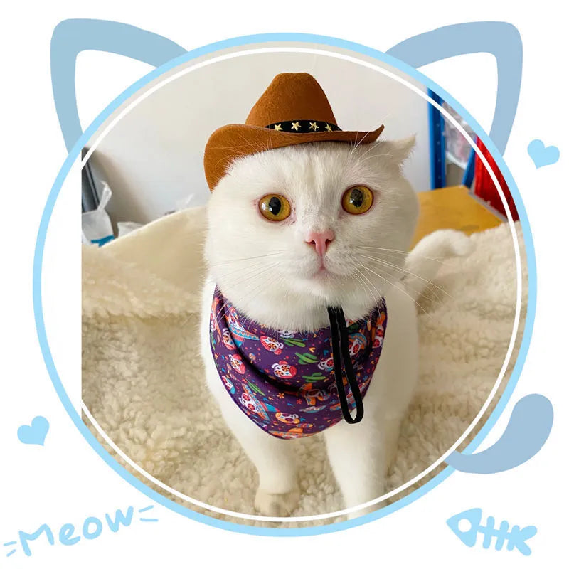 British-style cat cowboy hat with velvet belt decoration in S and M sizes