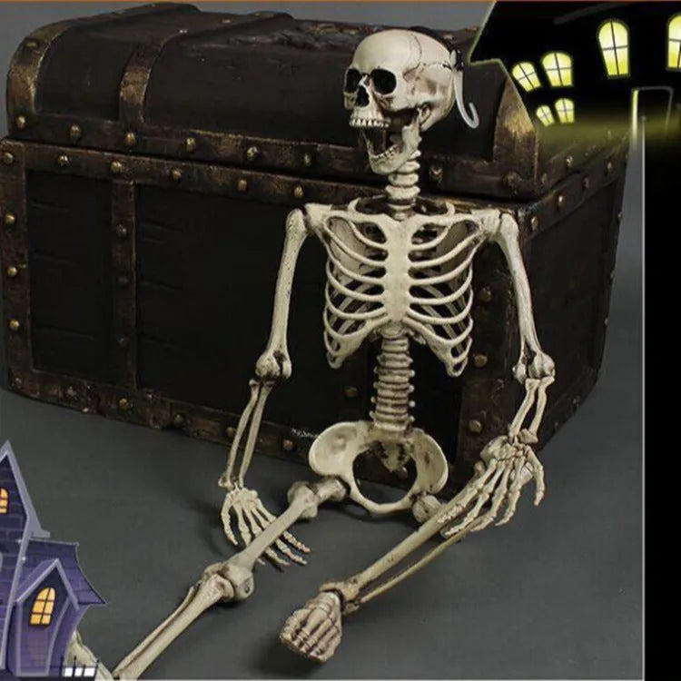 170cm tall plastic skeleton prop with detailed simulation skull for Halloween and teaching
