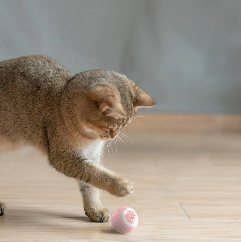 Blue automatic moving silicone ball cat toy with charging cable on hard floor