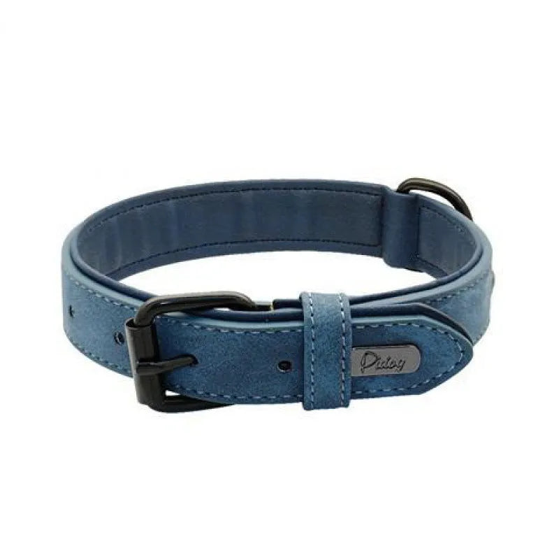 Adjustable double-layer thickened dog collar in purple, showing buckle and D-ring for ID tags.