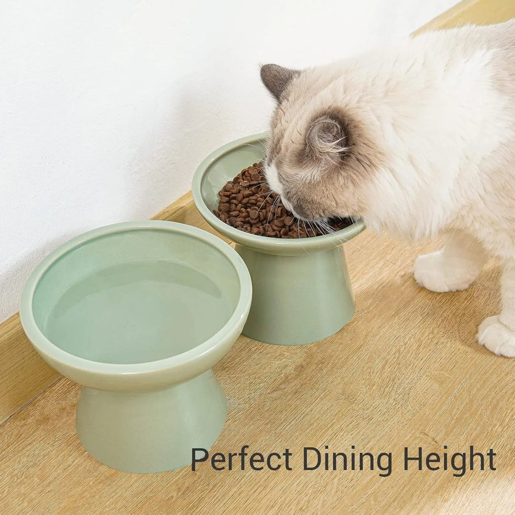 Elevated ceramic cat bowl with wide shallow dish in blue, green, pink or white colours