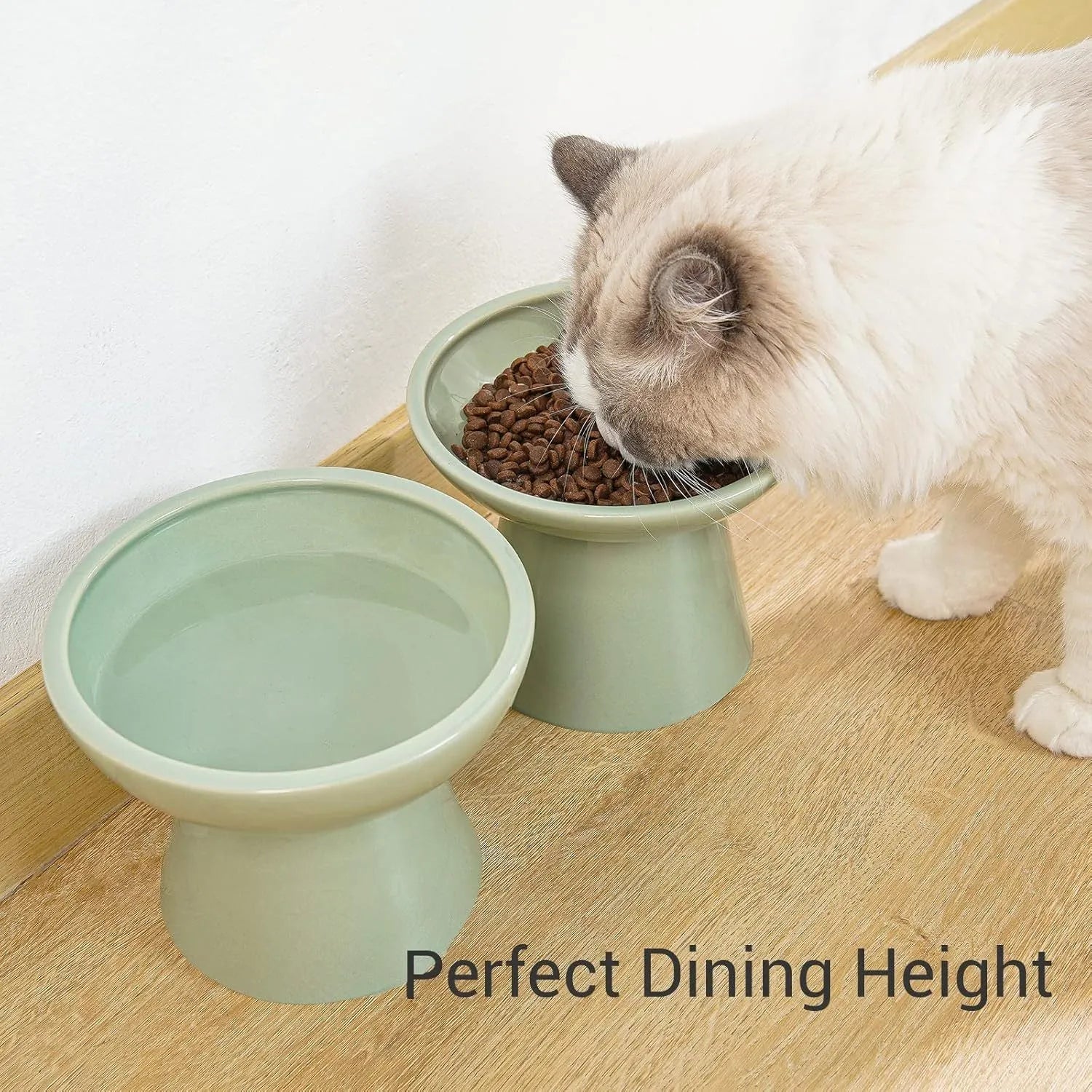Elevated ceramic cat bowl with wide shallow dish in blue, green, pink or white colours