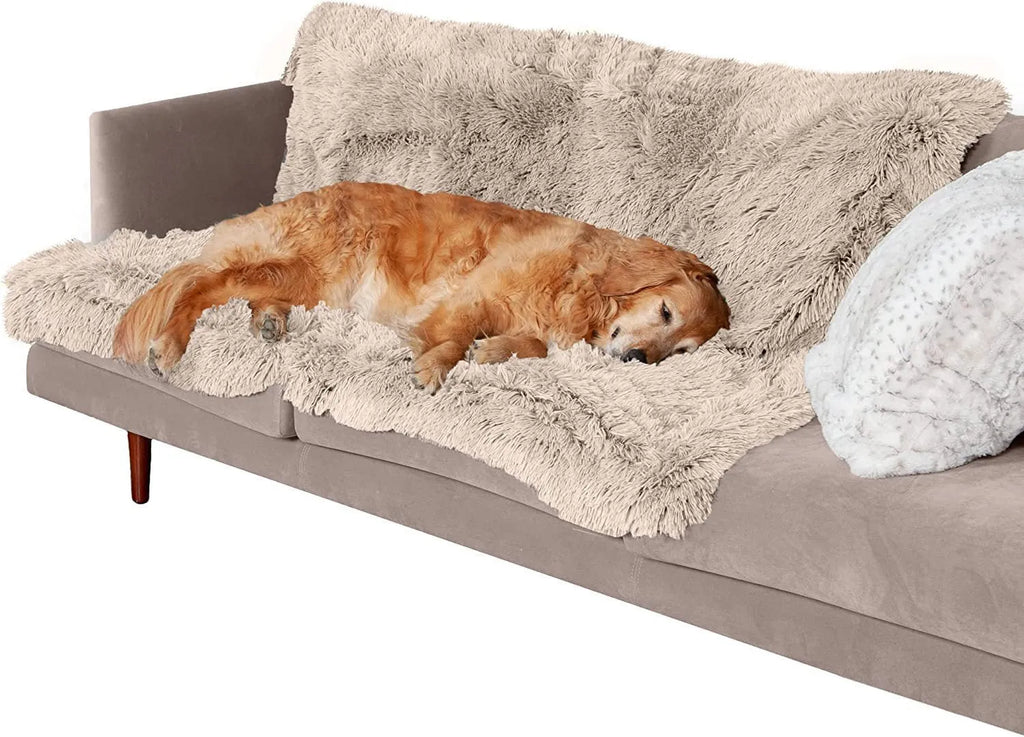 Dark grey plush waterproof dog cushion blanket shown in a medium size.