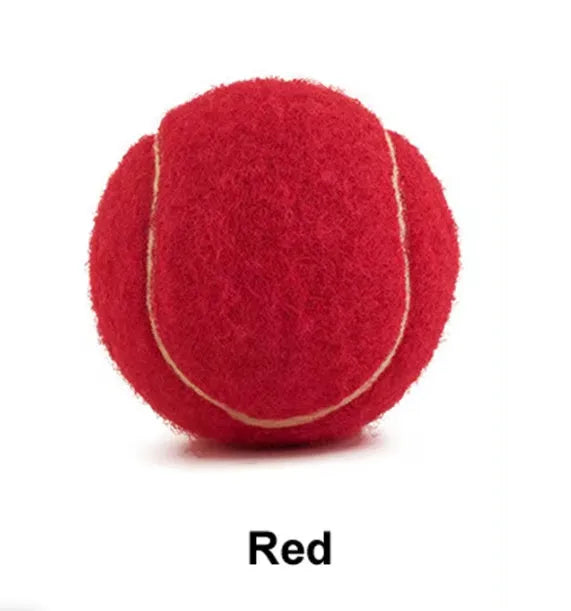 Assorted bright pink, blue, green, yellow, orange, and red rubber dog tennis balls, 6.3cm in diameter.