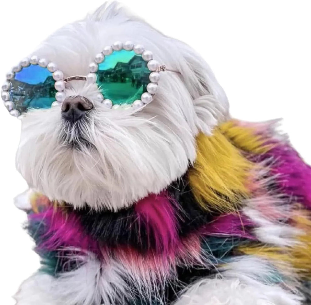 Pearl-rimmed round sunglasses for cats and dogs in multiple colours as costume accessories