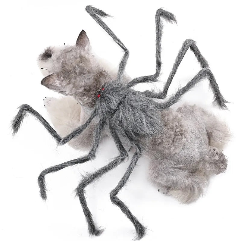 Halloween spider costume for dog or cat in black and purple colours with stretchy polyester fabric