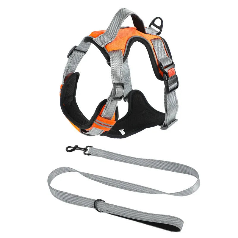 Adjustable polyester dog harness with chest and back straps in multiple colour options
