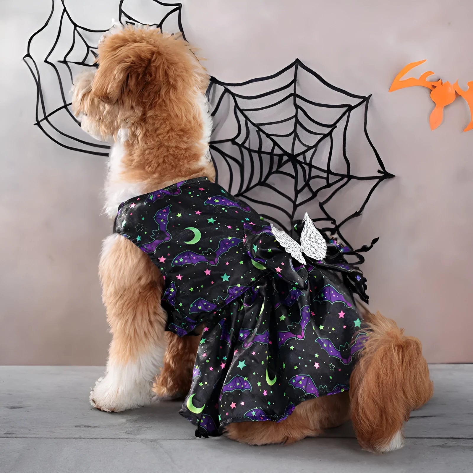 Angel wings Halloween pet costume for dogs in bright pumpkin or bat colours