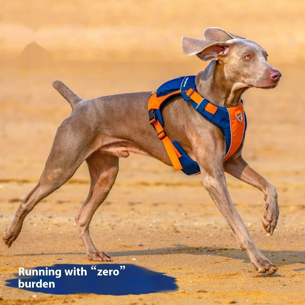 Dog chest strap vest harness in nylon with adjustable straps for secure walking