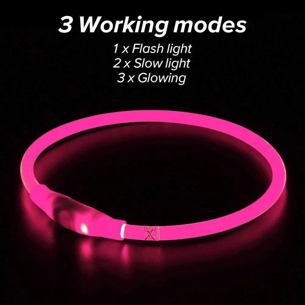 Blue USB rechargeable LED dog collar glowing on a dog's neck at night.