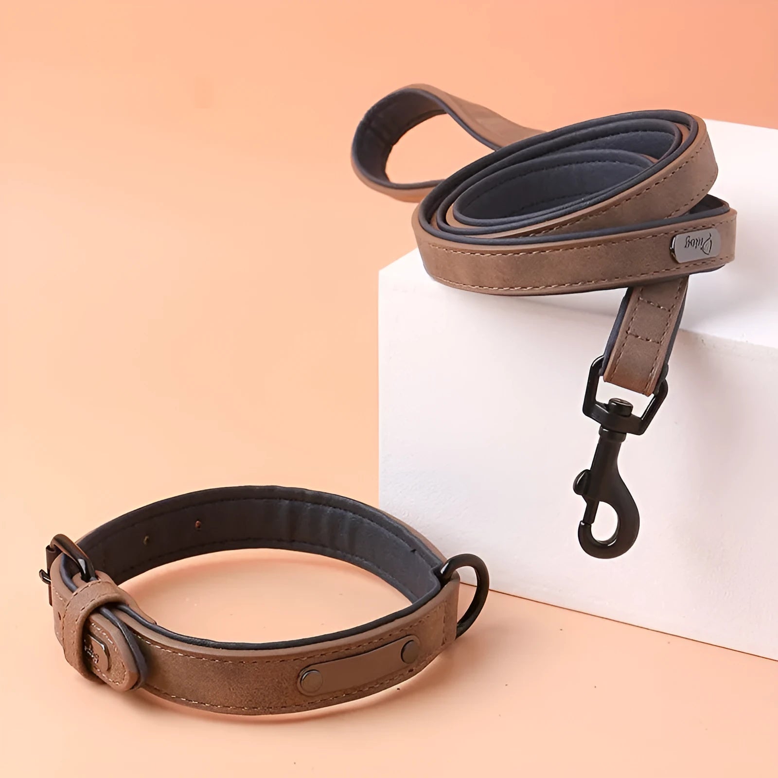 Adjustable double-layer thickened dog collar in purple, showing buckle and D-ring for ID tags.