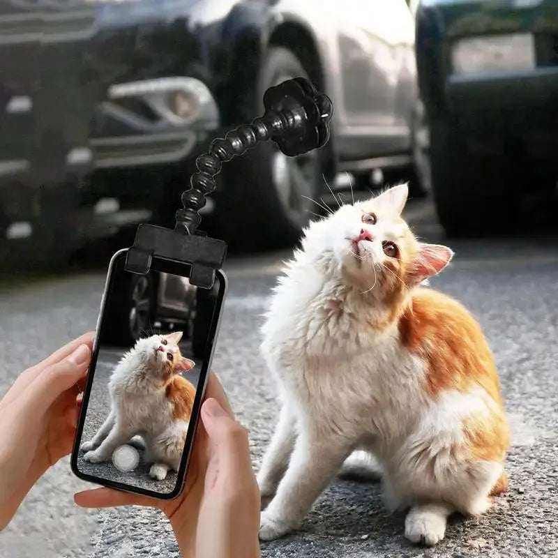 Black pet photography phone holder with treat clip for dog and cat photography sessions