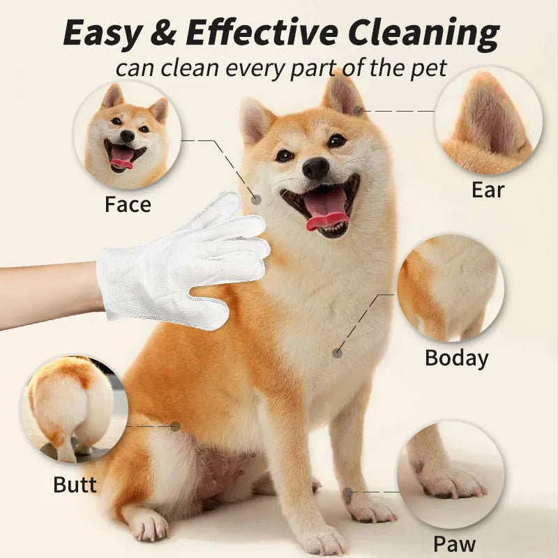 Pet disposable gloves for cat and dog cleaning, 6 pieces per bag, with extra thick option available
