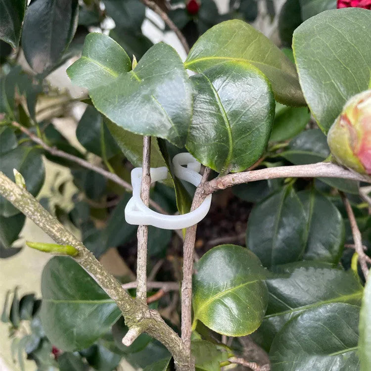 Red, yellow, green, and white cat-shaped plastic gardening clip for plant stems.
