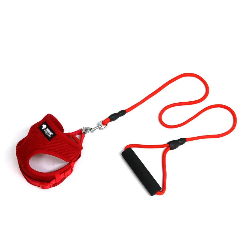 Blue dog leash with foam handle and mesh collar next to a 120cm towing rope