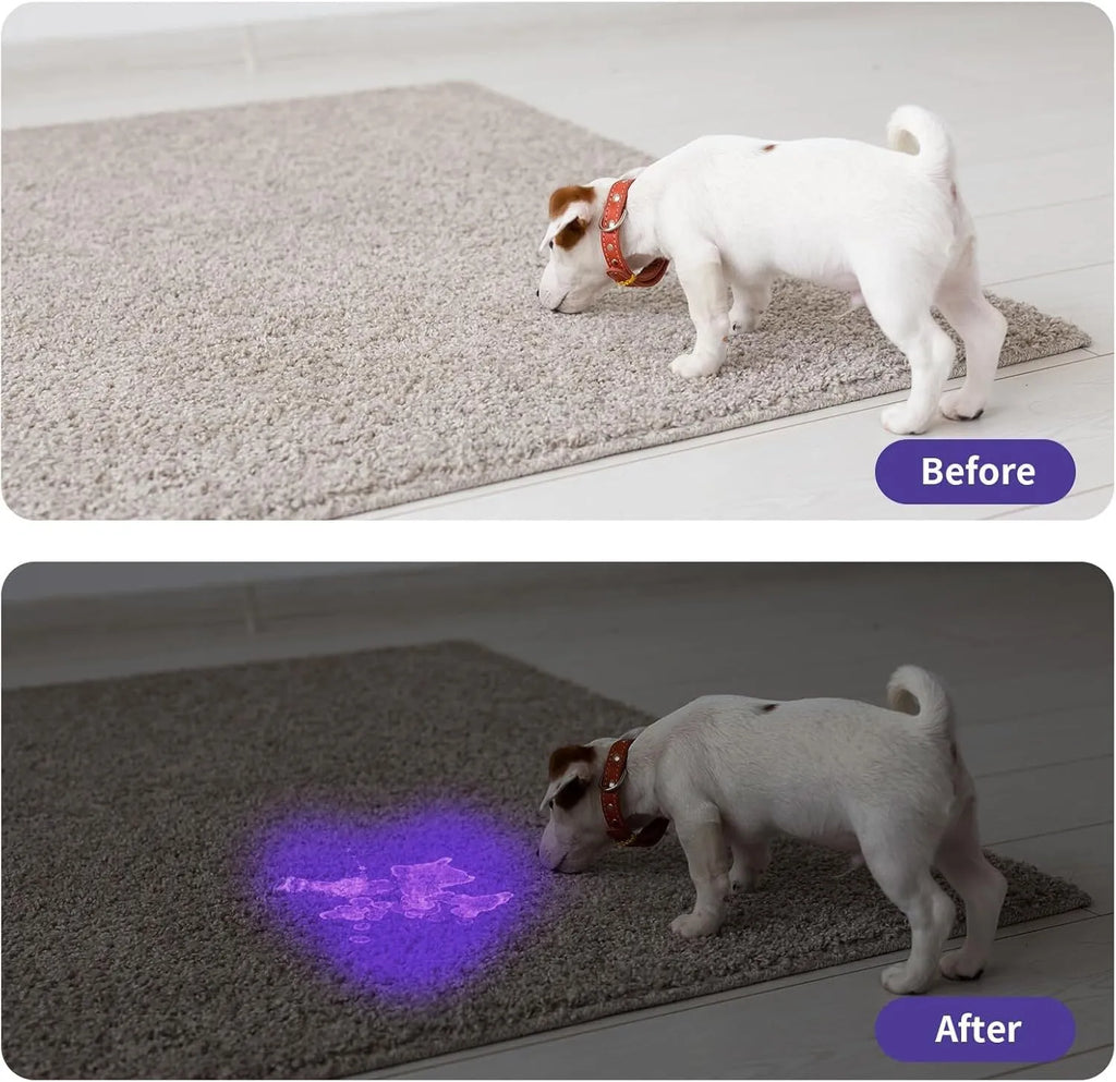 Black aluminium UV flashlight with tail switch, 9.8 cm long, for detecting stains and pests.